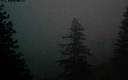./images/quadra/bluff/20171207/bluff20171207_165459M.jpg