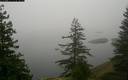 ./images/quadra/bluff/20171208/bluff20171208_081500M.jpg