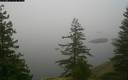 ./images/quadra/bluff/20171208/bluff20171208_085500M.jpg