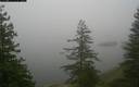 ./images/quadra/bluff/20171208/bluff20171208_094459M.jpg