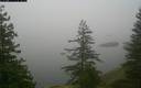 ./images/quadra/bluff/20171208/bluff20171208_095000M.jpg