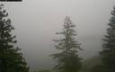 ./images/quadra/bluff/20171211/bluff20171211_075959M.jpg