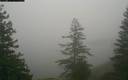 ./images/quadra/bluff/20171211/bluff20171211_081459M.jpg