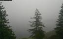 ./images/quadra/bluff/20171211/bluff20171211_082459M.jpg