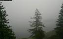 ./images/quadra/bluff/20171211/bluff20171211_083959M.jpg