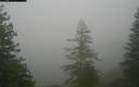 ./images/quadra/bluff/20171211/bluff20171211_102500M.jpg
