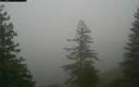 ./images/quadra/bluff/20171211/bluff20171211_103500M.jpg