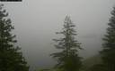 ./images/quadra/bluff/20171211/bluff20171211_114959M.jpg