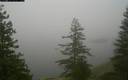 ./images/quadra/bluff/20171211/bluff20171211_123459M.jpg