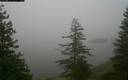 ./images/quadra/bluff/20171211/bluff20171211_135459M.jpg