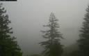 ./images/quadra/bluff/20171214/bluff20171214_113501M.jpg