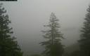 ./images/quadra/bluff/20171214/bluff20171214_114459M.jpg