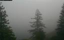 ./images/quadra/bluff/20171214/bluff20171214_122459M.jpg