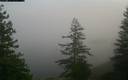 ./images/quadra/bluff/20171214/bluff20171214_123500M.jpg