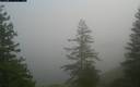 ./images/quadra/bluff/20171214/bluff20171214_124959M.jpg