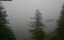 ./images/quadra/bluff/20171214/bluff20171214_150959M.jpg