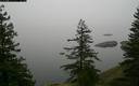 ./images/quadra/bluff/20171217/bluff20171217_092000M.jpg