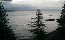 ./images/quadra/bluff/20180129/bluff20180129_073459M.jpg