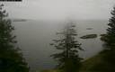 ./images/quadra/bluff/20180201/bluff20180201_163459M.jpg
