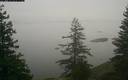 ./images/quadra/bluff/20180203/bluff20180203_075959M.jpg
