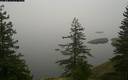 ./images/quadra/bluff/20180207/bluff20180207_080959M.jpg
