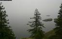 ./images/quadra/bluff/20180207/bluff20180207_081959M.jpg