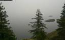 ./images/quadra/bluff/20180207/bluff20180207_082500M.jpg