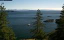 ./images/quadra/bluff/20180218/bluff20180218_104459M.jpg