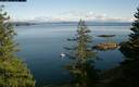 ./images/quadra/bluff/20180220/bluff20180220_135459M.jpg