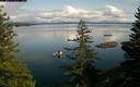 ./images/quadra/bluff/20180226/bluff20180226_134959M.jpg