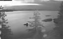 ./images/quadra/bluff/20180506/bluff20180506_050500M.jpg