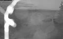 ./images/quadra/bluff/20180527/bluff20180527_215959M.jpg