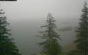 ./images/quadra/bluff/20180915/bluff20180915_070501M.jpg