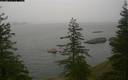./images/quadra/bluff/20181121/bluff20181121_101959M.jpg
