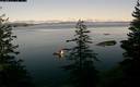 ./images/quadra/bluff/20181202/bluff20181202_130459M.jpg