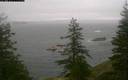 ./images/quadra/bluff/20181211/bluff20181211_095959M.jpg