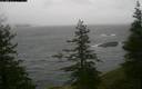 ./images/quadra/bluff/20181217/bluff20181217_152459M.jpg