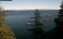 ./images/quadra/bluff/20190204/bluff20190204_133459M.jpg