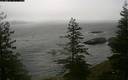 ./images/quadra/bluff/20190311/bluff20190311_140500M.jpg