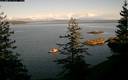 ./images/quadra/bluff/20190329/bluff20190329_172959M.jpg