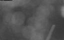 ./images/quadra/bluff/20190911/bluff20190911_202000M.jpg