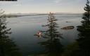 ./images/quadra/bluff/20191121/bluff20191121_135000M.jpg