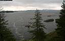 ./images/quadra/bluff/20191224/bluff20191224_104459M.jpg