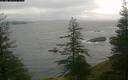 ./images/quadra/bluff/20200103/bluff20200103_082000M.jpg