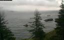 ./images/quadra/bluff/20200105/bluff20200105_082459M.jpg