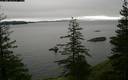 ./images/quadra/bluff/20200107/bluff20200107_131959M.jpg