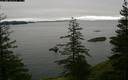 ./images/quadra/bluff/20200107/bluff20200107_132459M.jpg