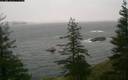 ./images/quadra/bluff/20200110/bluff20200110_083000M.jpg