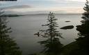 ./images/quadra/bluff/20200111/bluff20200111_100500M.jpg