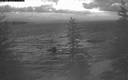 ./images/quadra/bluff/20200116/bluff20200116_073500M.jpg